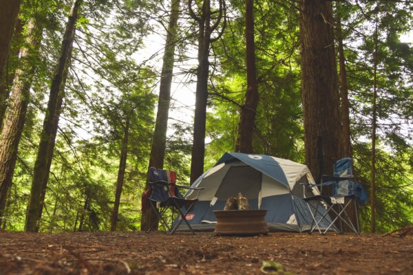 森林の中にキャンプのテントがはられている様子