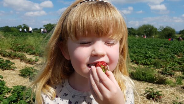イチゴを頬張る金髪の少女